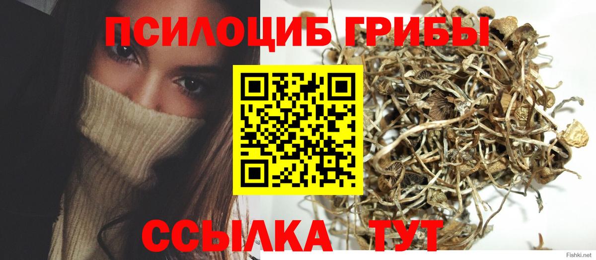 Галлюциногенные грибы ЛСД Лабытнанги
