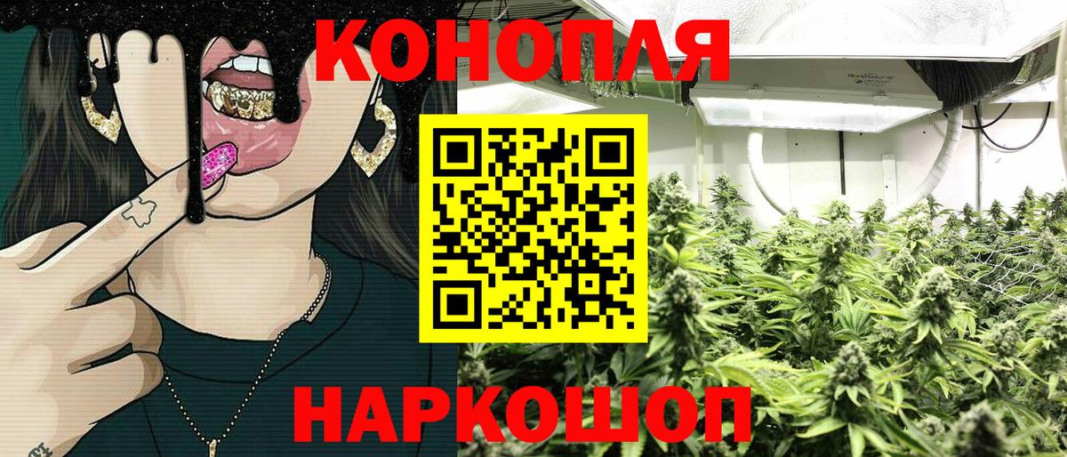 Бошки Шишки MAZAR Лабытнанги